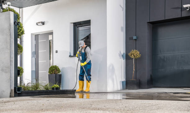 Best Roof Cleaning and Mildew Removal in Hazlehurst, GA